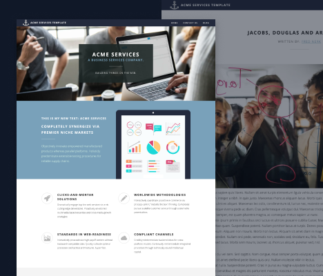 Professional Services Template